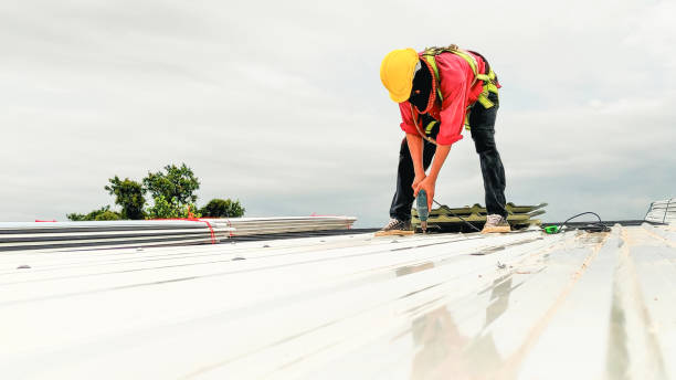 Professional Roofing Services in Wrightsville, GA